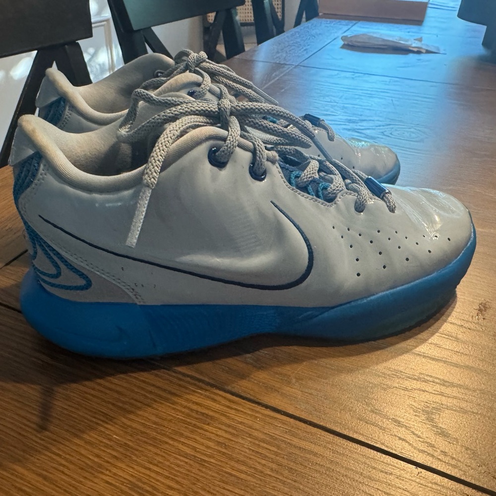 Nike Labron James 21